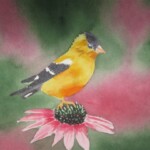 Scotts Valley Art Center Kids Group Class